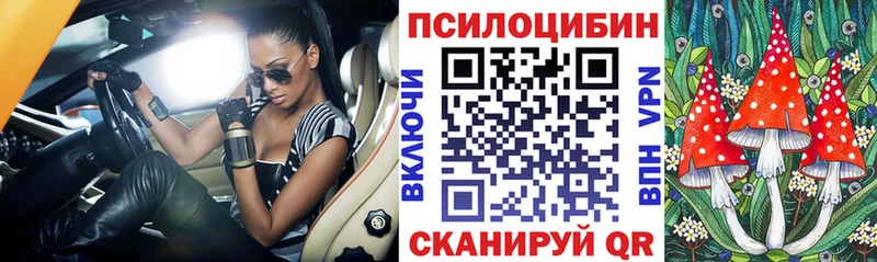 Псилоцибиновые грибы Psilocybe  наркотики  Эртиль 